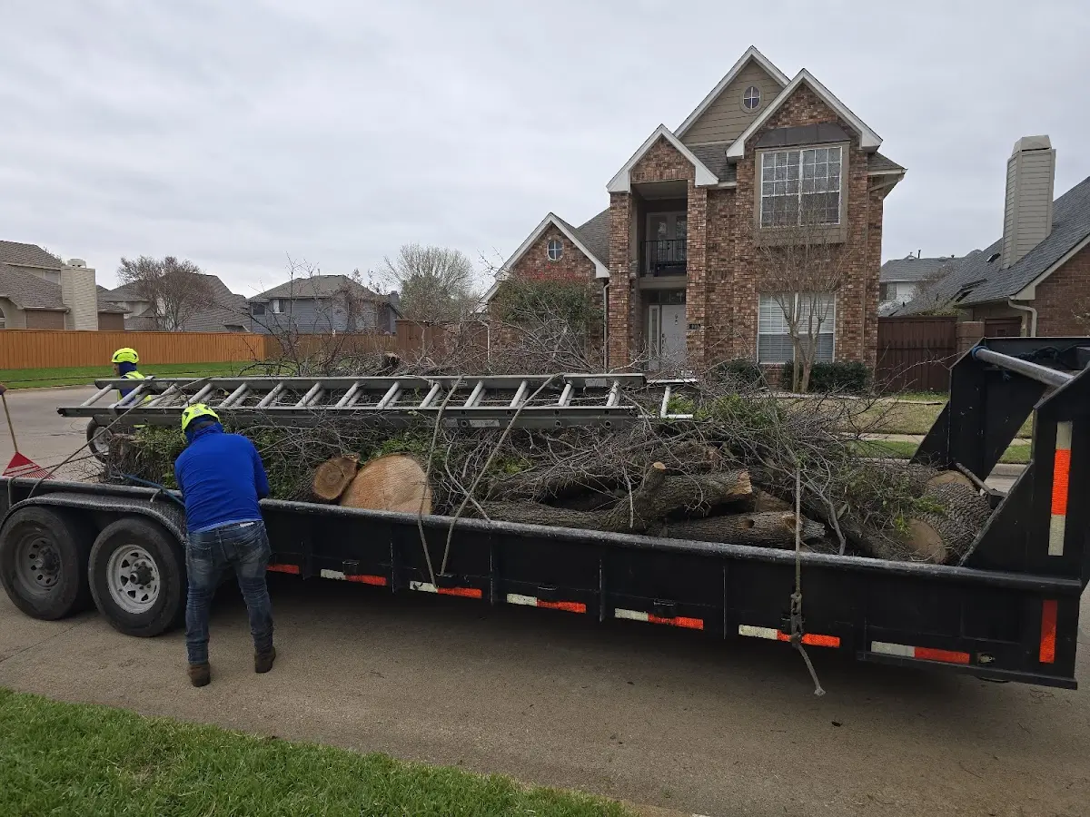 Expert Tree Removal with proper safety equipment in Bastrop
